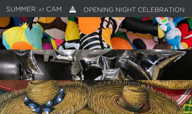 2026 Summer at CAM Exhibition Opening Night