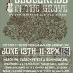 Bluegrass in the Grove