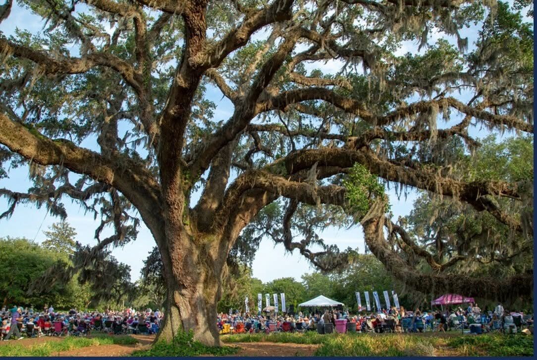 Bibis Ellison Live at Airlie Gardens