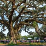 No Regretz Live at Airlie Gardens