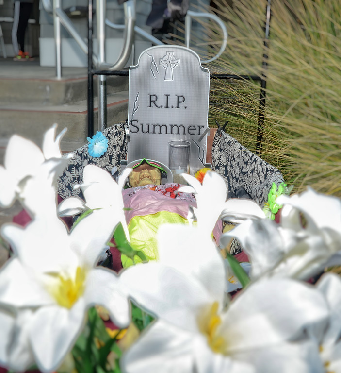 Farewell Summer Jazz Funeral