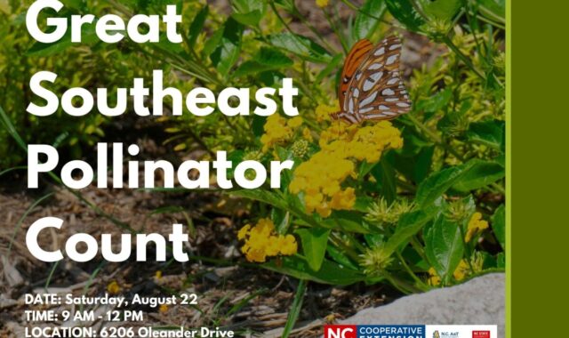 Pollinator Count at the NHC Arboretum