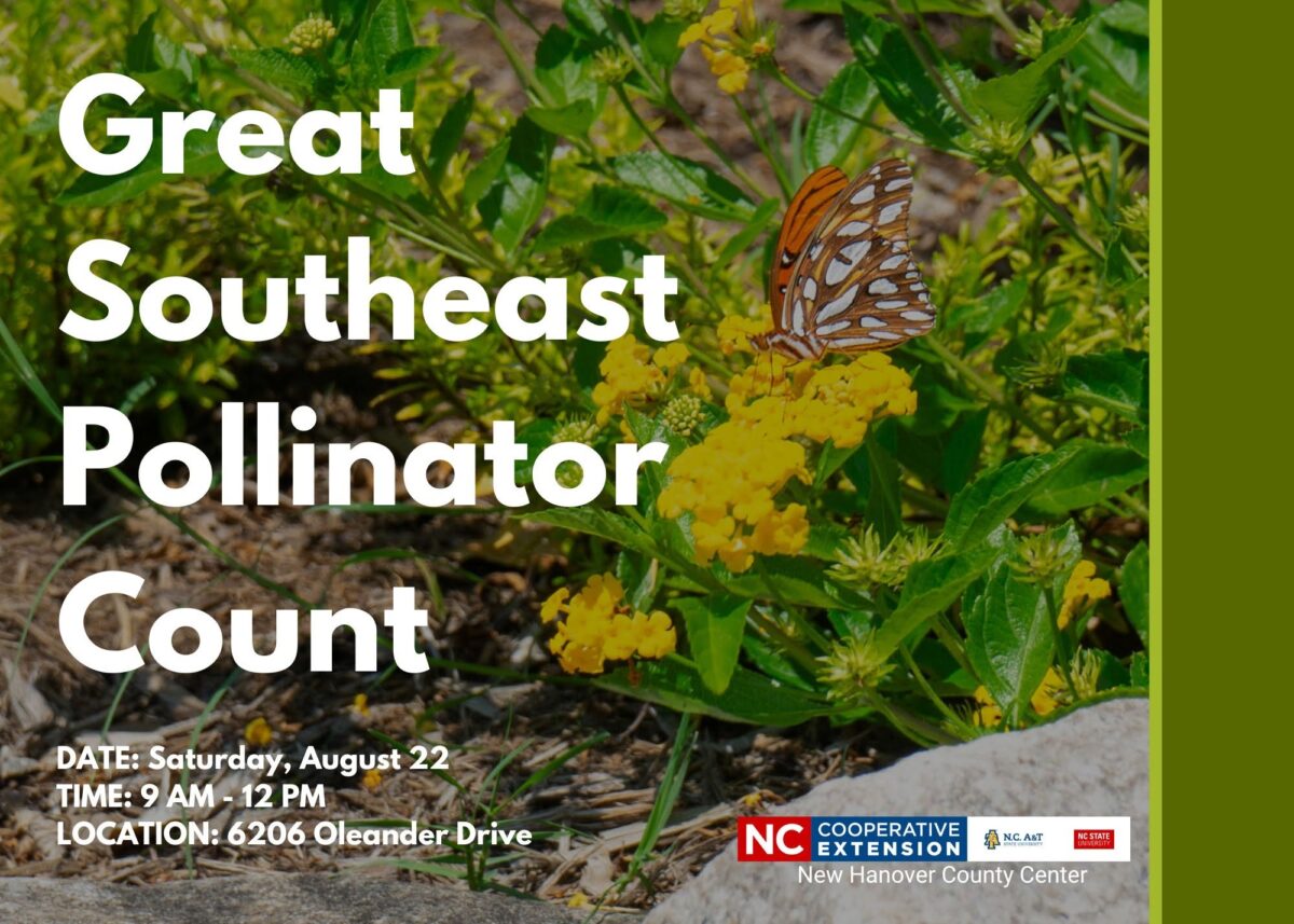Pollinator Count at the NHC Arboretum