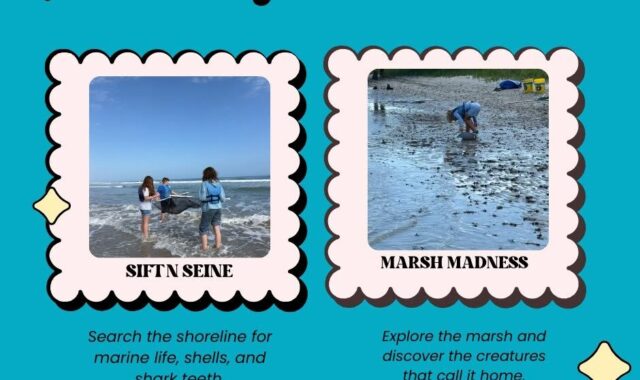 Sift & Seine Family Adventures