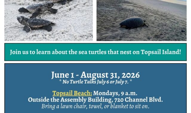 Tuesday Morning Turtle Talks
