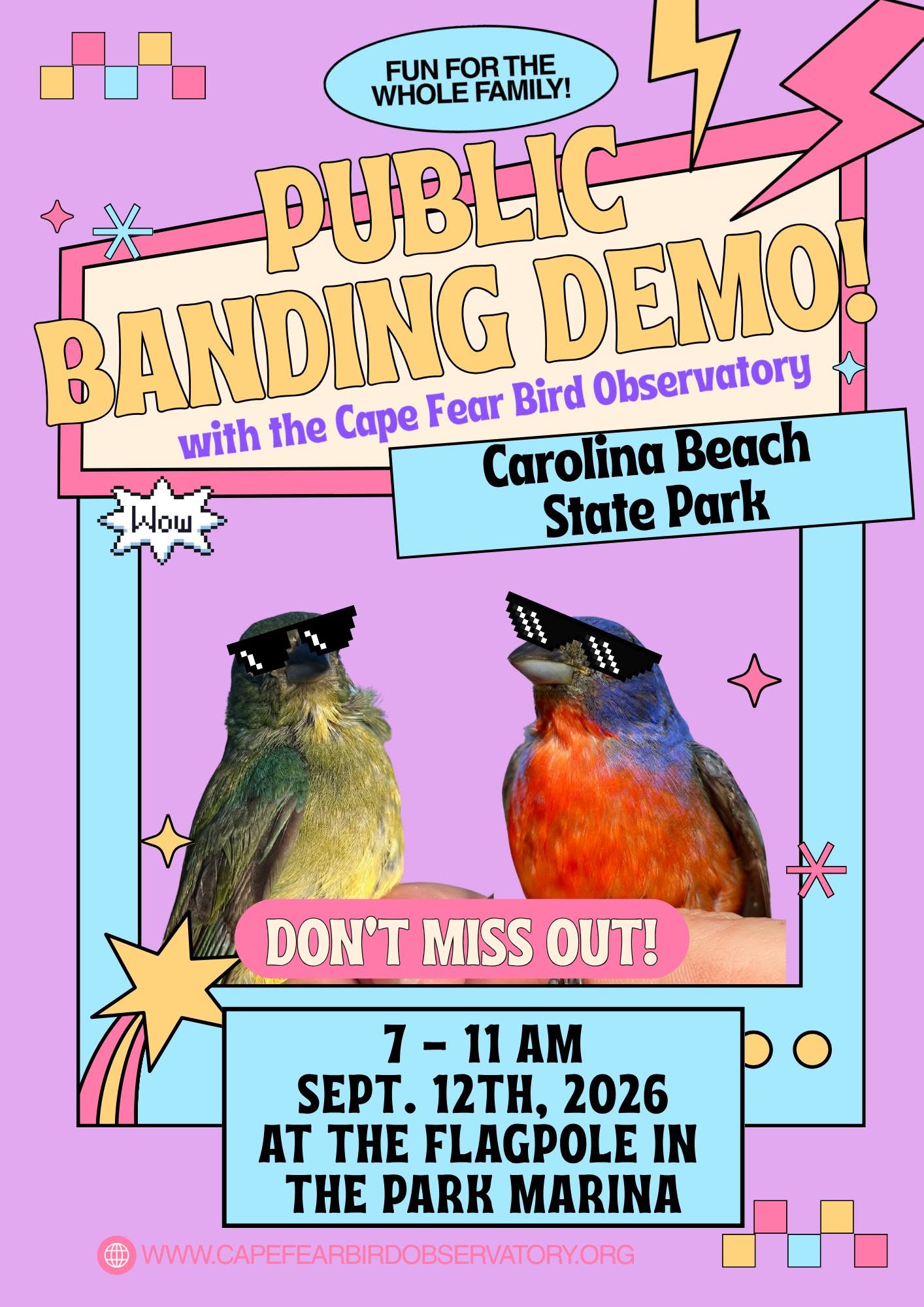 Painted Bunting Banding Demo at Carolina Beach State Park