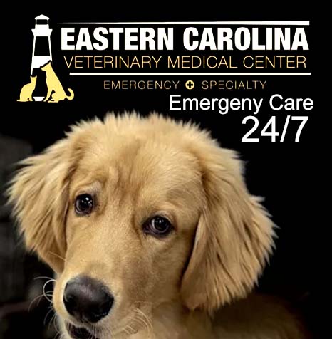 Emergency pet care offered around the clock, seven days a week.
