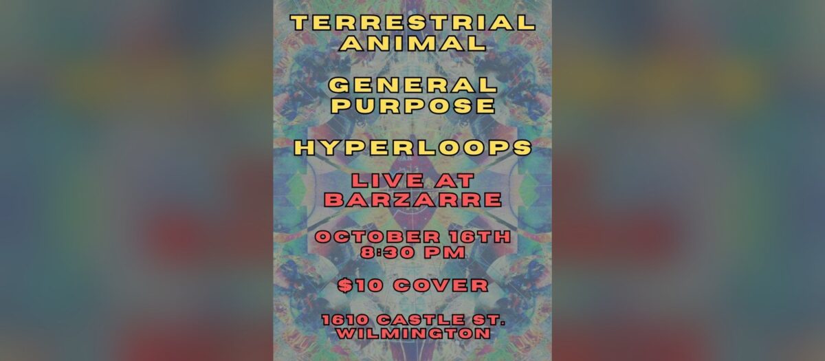 3 Band Show! General Purpose / Terrestrial Animal / Hyperloops