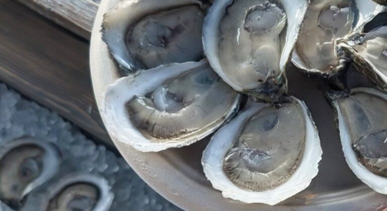 Raw Bar Pop-up: The Oyster Girl NC