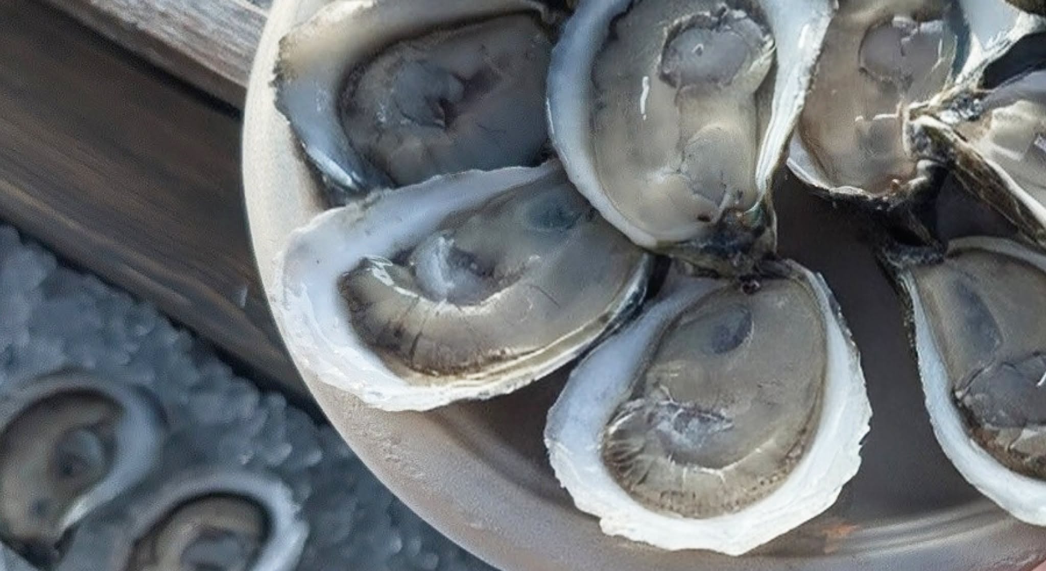 Raw Bar Pop-up: The Oyster Girl NC